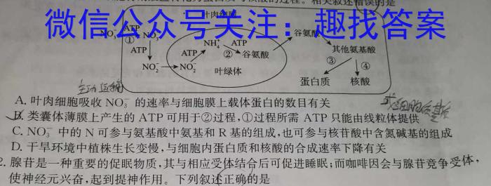 智学大联考·皖中名校联盟 合肥八中2023-2024学年第二学期高一年级期末检测数学