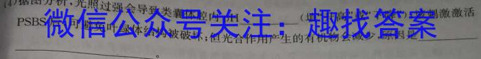 2023年陕西省九年级临考冲刺卷（B）数学