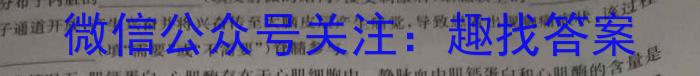 河北省2024年初三模拟演练（四）数学