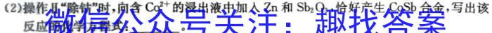 陕西省2023年初中学业水平考试联考模拟卷A化学