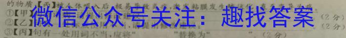 2023年普通高等学校招生全国统一考试精品预测卷(三)语文