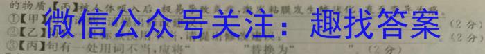 2022-2023学年云南省高二5月月考试卷(23-491B)语文