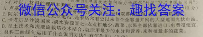 2023年湖南省普通高中学业水平考试仿真试卷(合格性考试)(第四次考试)语文