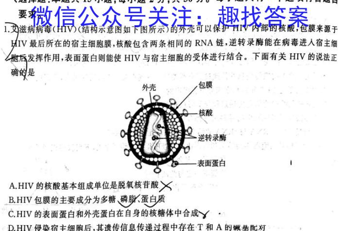 安徽省宿州市萧县2024-2023学年度九年级第三次模考数学