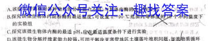 陕西省西安市汇知中学2024-2025学年度第一学期九年级定位测试数学