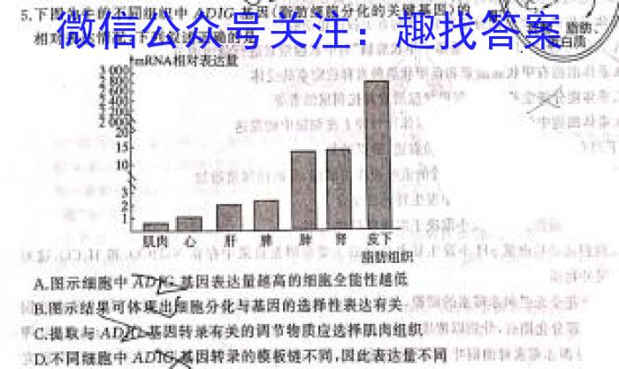 ［衡水大联考］2024届广东省新高三年级8月开学大联考物理试卷及答案数学