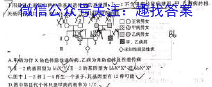 河南省普高联考2023-2024学年高三测试(二)数学