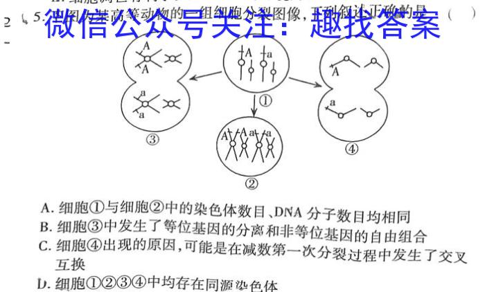 快乐考生 2024届双考信息卷第一辑 新高三摸底质检卷(二)数学