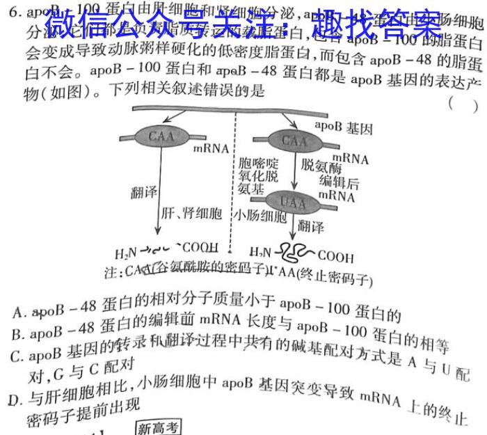 贵阳市2023年普通高中高三年级质量监测试卷（11月）数学