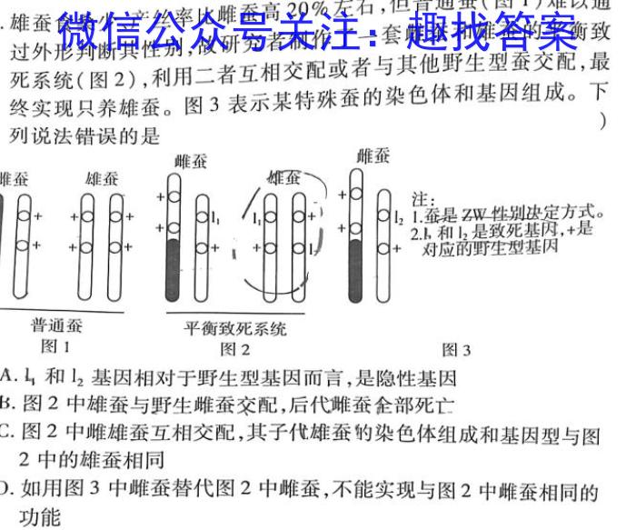 2024届普高大联考山东新高考联合质量测评12月联考试题数学