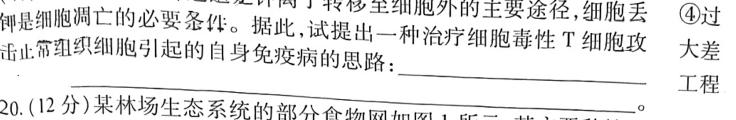 山西省2024届九年级阶段评估（一）【1LR】数学考试