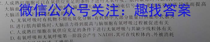 湖北省2023-2024学年湖北省高二下学期期中考试数学