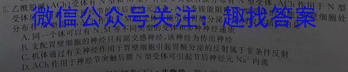 2022-2023学年陇南市九年级联考模拟卷(二)2数学