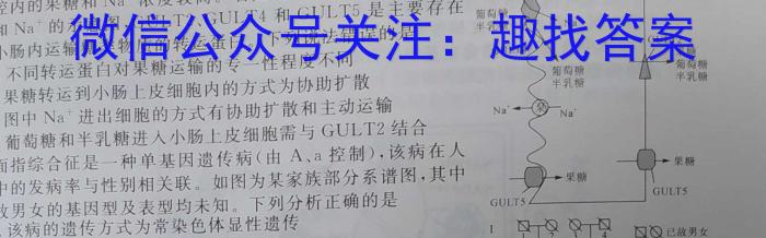 河北省2023~2024学年高二(上)质检联盟期中考试(24-104B)数学