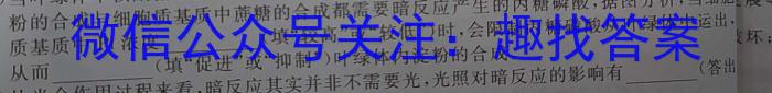 ［陕西大联考］陕西省2025届高二年级上学期11月联考数学