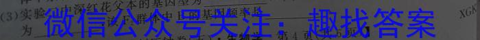 安师联盟·安徽省2024年中考仿真极品试卷（一）数学