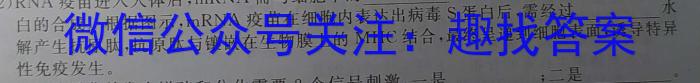 金科大联考·山西省2024届高三11月联考数学