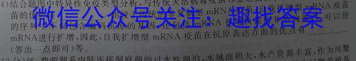 2024届单科模拟01文理 数学