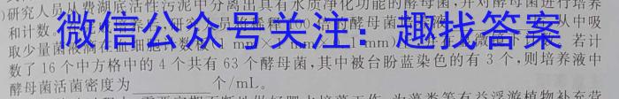 2023届中考导航总复习·模拟·三轮冲刺卷(二)2数学