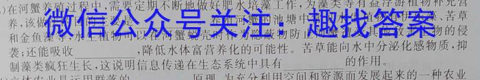 安徽省2024年中考大联考二数学