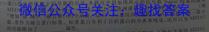 启光教育 2024年河北省初中毕业生升学文化课模拟考试(二)2数学