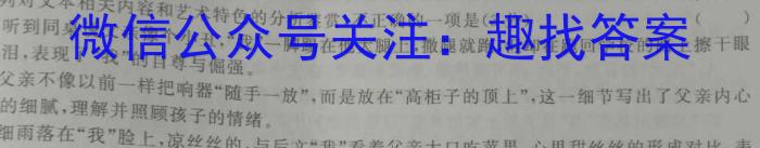 文博志鸿 2023年河南省普通高中招生考试模拟试卷(冲刺三)语文