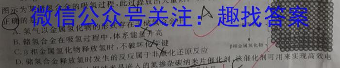 文博志鸿 2023年河南省普通高中招生考试模拟试卷(冲刺一)化学