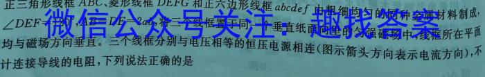 2023届安徽省中考联盟压轴卷(三个黑三角)物理.