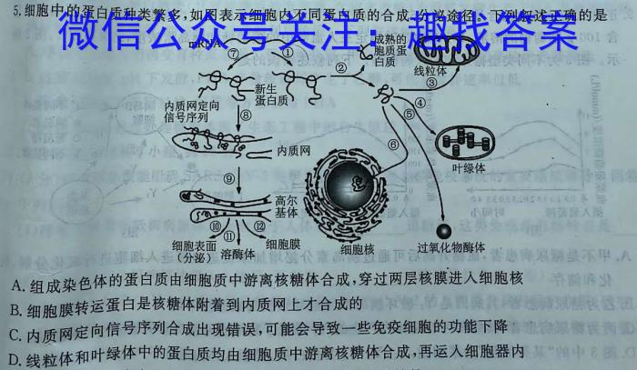 南阳一中2023年春期高二年级第四次月考生物