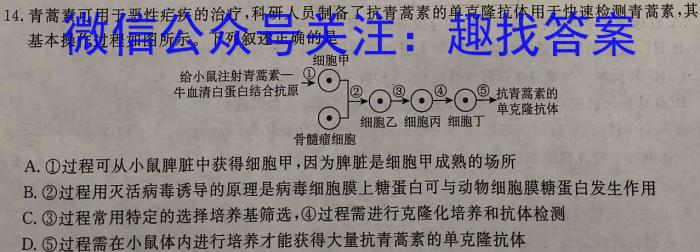 皖淮名校联盟2022~2023学年度第二学期高二联考(23-463B)数学