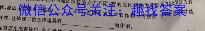 安师联盟 安徽省2024年中考仿真极品试卷(一)1数学