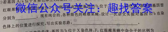 2023-2024学年度上学期高三年级第一次综合素养评价(HZ)数学