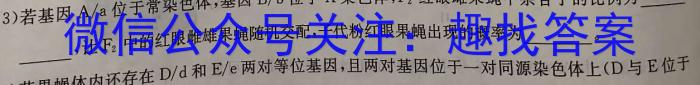 2023年四川省大数据精准教学联盟2020级高三第二次统一监测(2023.5)数学