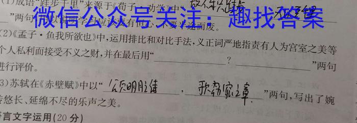 宿州市省、市示范高中2022-2023学年度高一第二学期期末考试语文