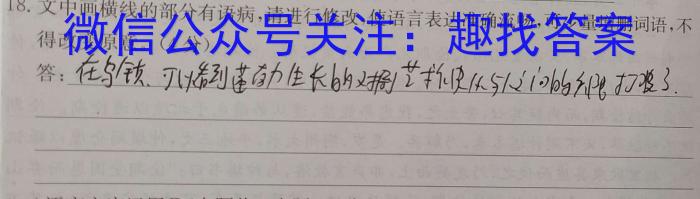 2023年湖南省普通高中学业水平合格性考试高一仿真试卷(专家版六)语文