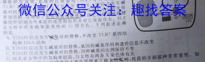 陕西省2024年九年级仿真模拟示范卷 SX(六)6数学