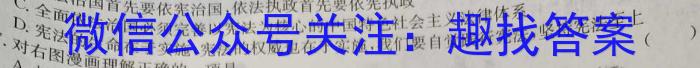 云南师大附中(云南省)2023届高考适应性月考卷(白白黑白黑白白白)(十)地理h