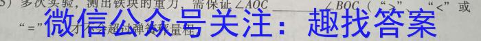 陕西省2023年九年级教学质量检测A（黑色◇）物理.