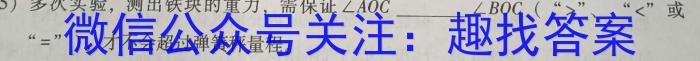 2023年陕西省初中学业水平考试·中考信息卷（A）物理`