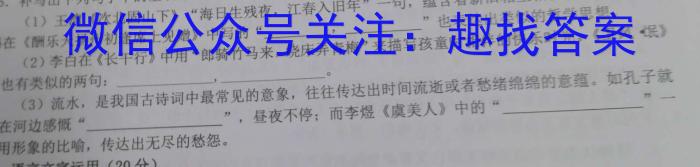 河南省2023年春季学期高二年级7月质量检测语文