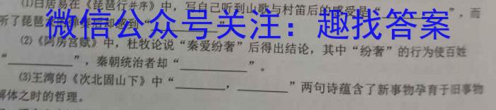 2023年广西初中学业水平适应性考试(压轴题)语文