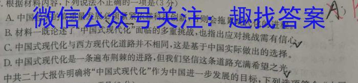 T3·2023年陕西省初中学业水平考试模拟试卷语文