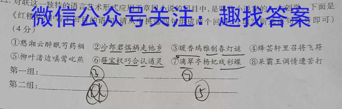 四川省高中2023届毕业班高考冲刺卷(一)语文