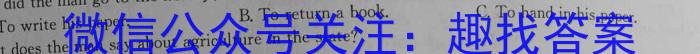 文博志鸿 2023年河南省普通高中招生考试模拟试卷(压轴二)英语试题