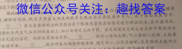 文博志鸿 2023年河南省普通高中招生考试模拟试卷(信息卷二)语文