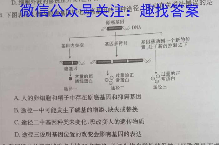 安徽省亳州市蒙城县2023-2024年度第二学期八年级义务教育教学质量检测数学