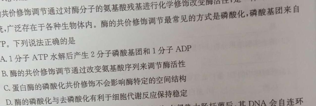 2023年陕西省初中学业水平考试·中考信息卷A数学考试