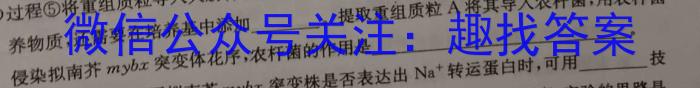 陕西省2023年九年级教学质量检测A（黑色◇）数学