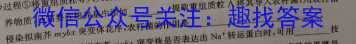 天一大联考 焦作市普通高中2023-2024学年(上)高二期末考试数学