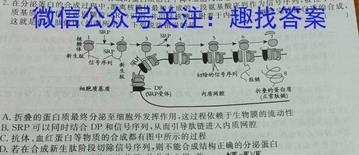 旬阳市2023年初中学业水平模拟考试(二)2文理 数学